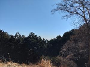 鎌北湖・物見山（2／2）