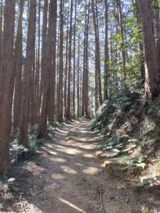 kamakita 055