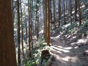 kamakita 058