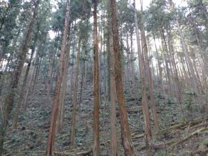 kamakita 069