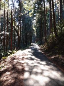 kamakita 070