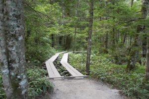 kamikochi 018
