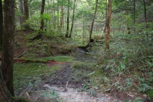 kamikochi 020