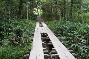 kamikochi 021