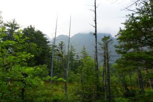 kamikochi 025