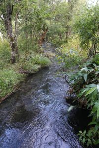 kamikochi 042