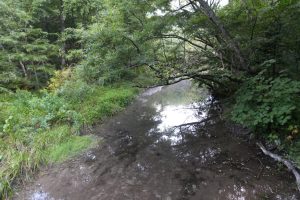 kamikochi 053