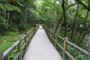 kamikochi 054
