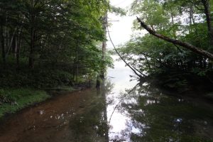 kamikochi 055