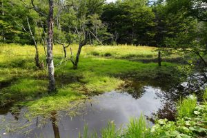 kamikochi 080