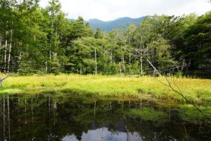 kamikochi 081