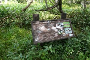 kamikochi 083