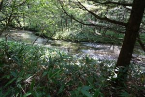 kamikochi 095