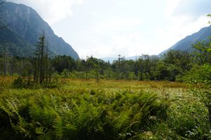 kamikochi 096