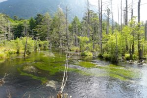 kamikochi 100