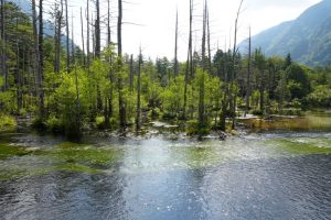 kamikochi 101
