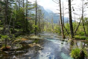 kamikochi 103