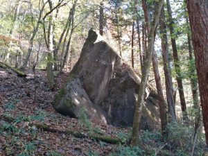 kamon 015