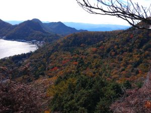kamon 022