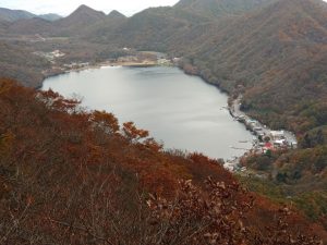 kamon 036