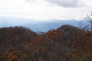 kamon 042