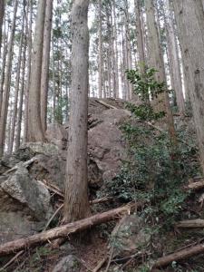 kan8shu 065