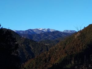 kanhasshu 007