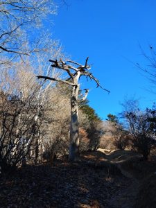 kanhasshu 023