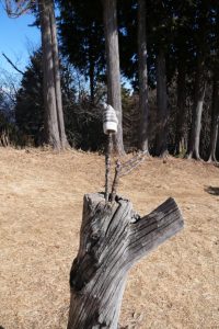 kanhasshu 037