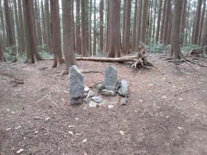 kanhasshu 053