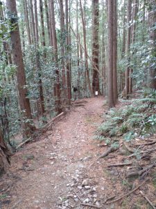 kanhasshu 055