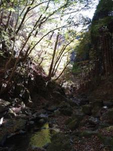 kawanori 022