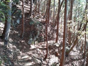 kawanori 035