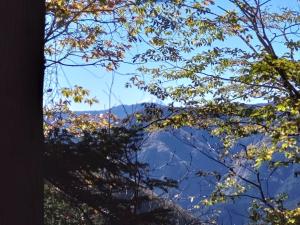 kawanori 036