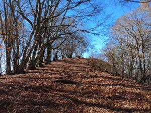 川苔山（2／2）