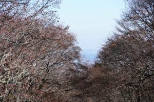 kawanori 060