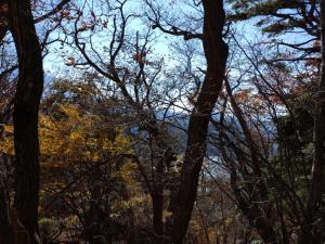 kenashi 054