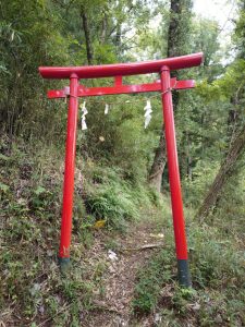 kikuka gozen 005