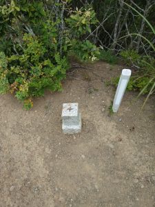 kikuka gozen 018