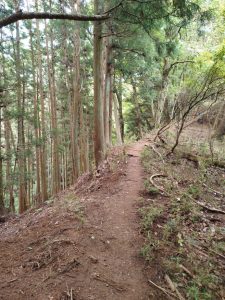 kikuka gozen 023