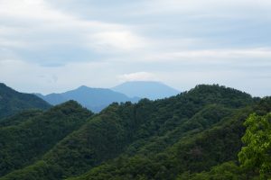 kikuka gozen 043