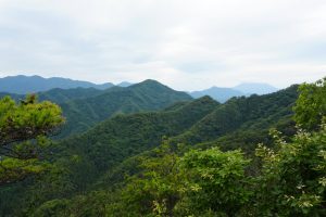 kikuka gozen 047