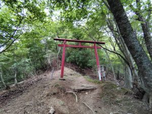 kikuka gozen 055