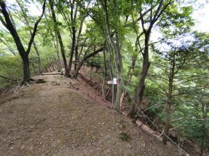 kikuka gozen 056
