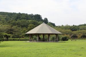 kinchaku 008