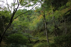 ginkakuji0018