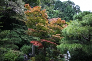 ishiyama0010