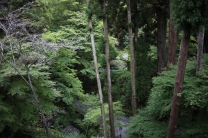 ishiyama0021