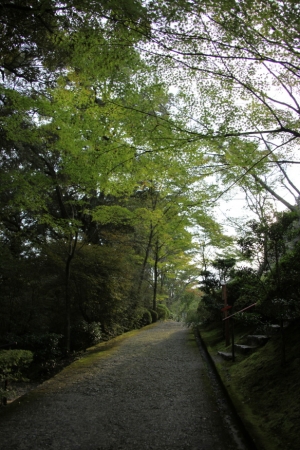 ishiyama0028