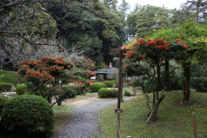 ishiyama0034